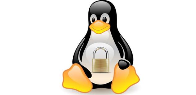 linux_seguridad_logo