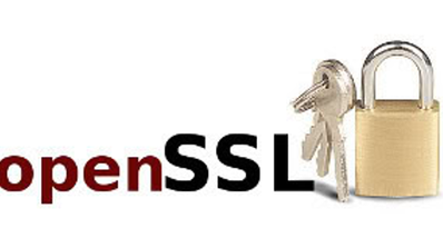 Logo OpenSSL