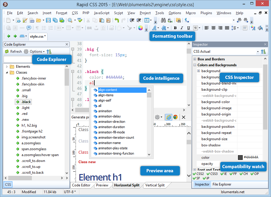 Blumentals-Software-rapid-css-editor