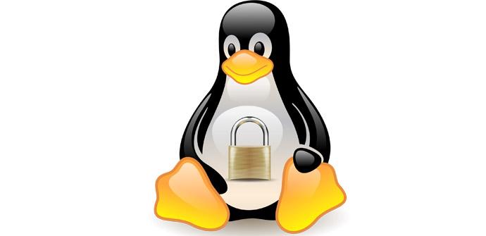Logotipo de seguridad de Linux