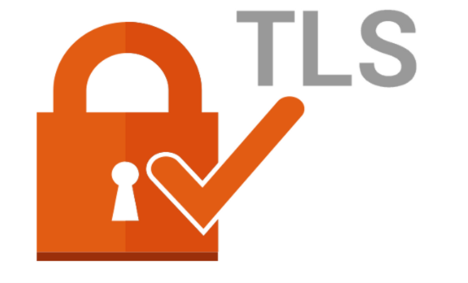 Seguridad TLS