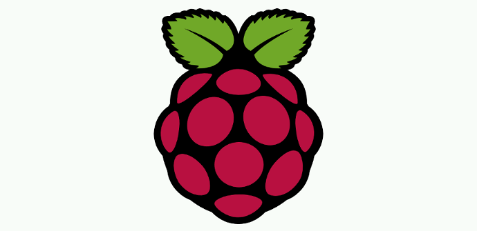 Logotipo de Raspbian