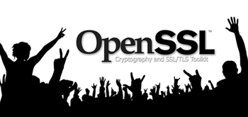 OpenSSL 1.1.0c es la nueva versión que soluciona fallos de seguridad graves