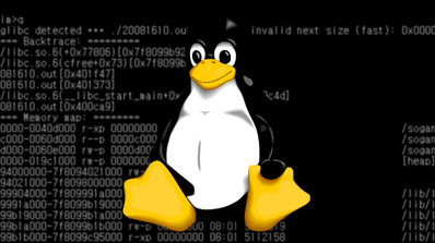 Vulnerabilidad Glibc Linux
