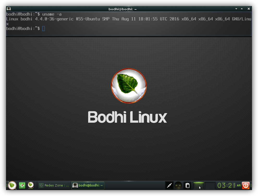 Bodhi Linux 4.0