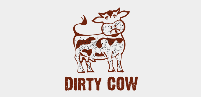 Dirty Cow