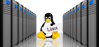TheSSS, un Linux pensado para servidores con pocos recursos