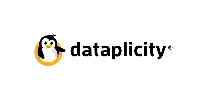 Logo Dataplicity