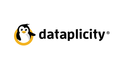 Logo Dataplicity
