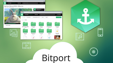 Bitport