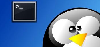 Cómo buscar archivos y texto dentro de estos en una terminal Linux