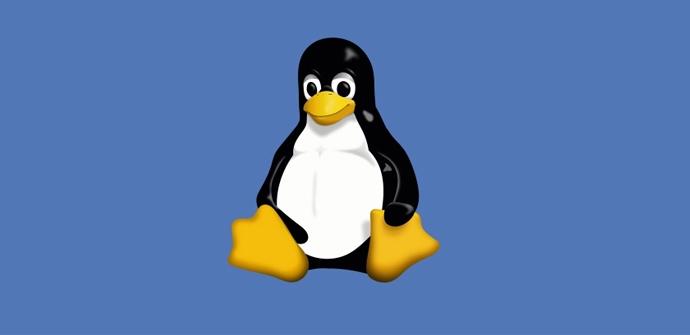 Error en el kernel de seguridad de Linux