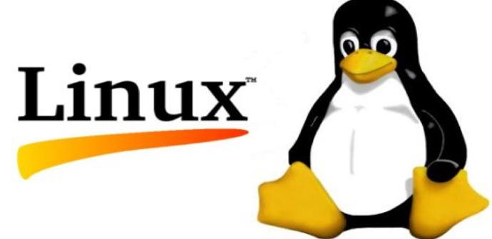 Distribuciones de Linux ligeras