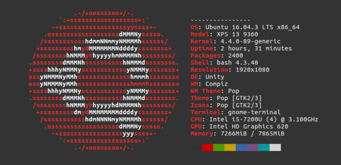 Ubuntu Terminal ASCII