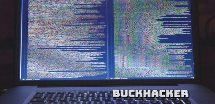 BuckHacker, un proyecto de motor de búsqueda de servidores expuestos