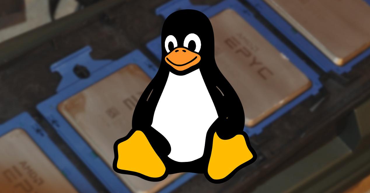 Linux en AMD EPYC
