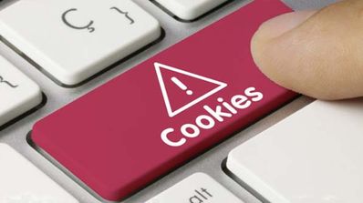 La importancia de las cookies en Internet