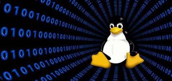 Herramientas imprescindibles para cualquier programador en Linux