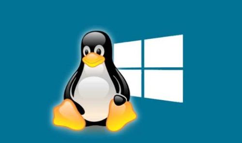 W Linux Así es WLinux, nueva distro de Linux disponible en la tienda de Microsoft