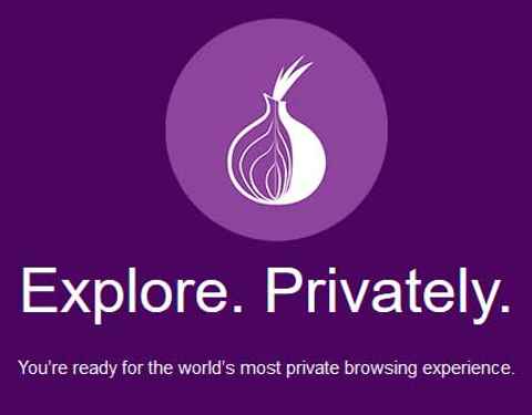 Tor browser mozilla hydra2web как искать информацию в браузере тор