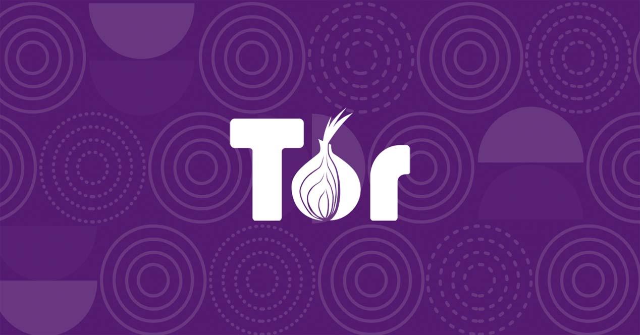 Red Tor vs navegador