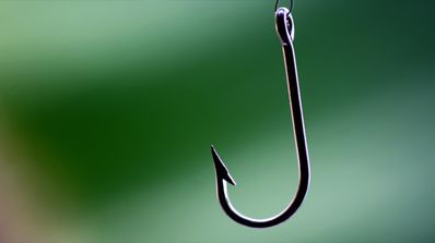 Usan Amazon y Netflix para Phishing