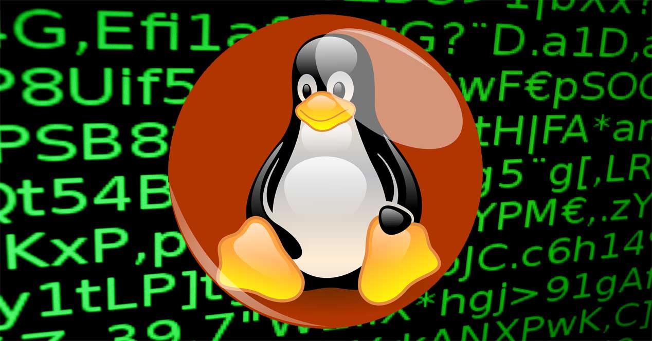 FreakOut, un malware que ataca Linux