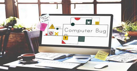 Bug informático: qué es y cómo puede perjudicar a tu seguridad