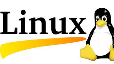 pinguinazo de Linux y su logo