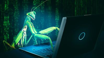 Identificar si una web es falsa