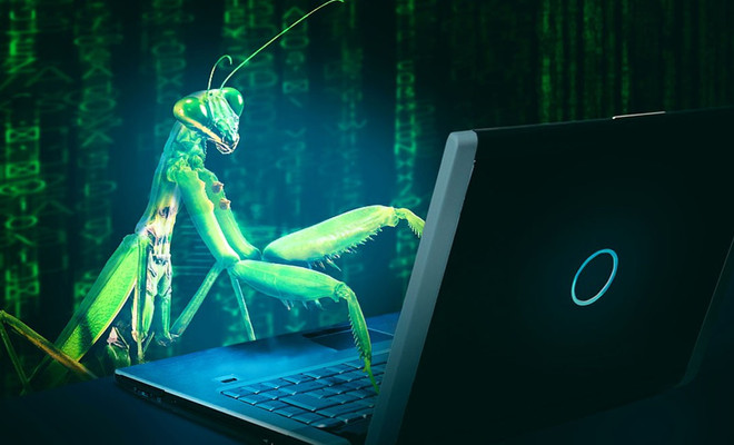 Identificar si una web es falsa
