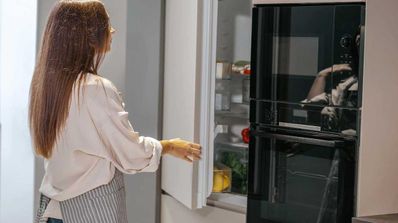 Cambiar frigorífico para ahorrar luz