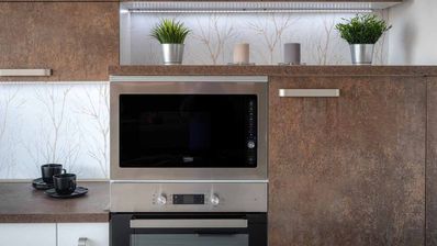 Horno o microondas para ahorrar en la factura de la luz