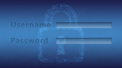 Seguridad al poner contraseñas en Internet