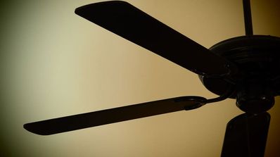 Ventilador encendido todo el día