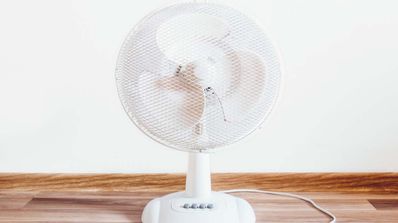 Coste del ventilador todo el día encendido