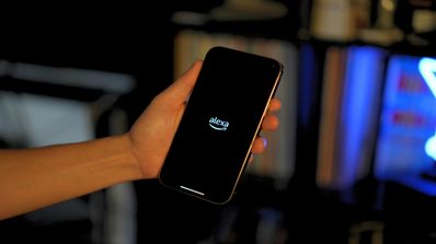 conectar Blink a Alexa