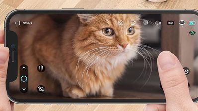 las mejores camaras para animales