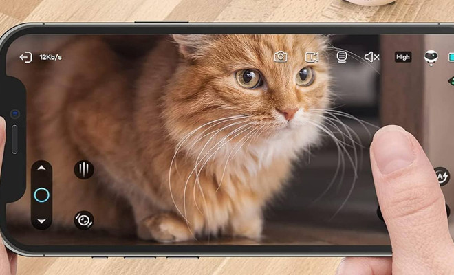 las mejores camaras para animales