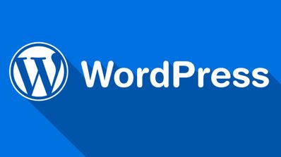 Vulnerabilidad en WordPress afecta a millones de sitios web