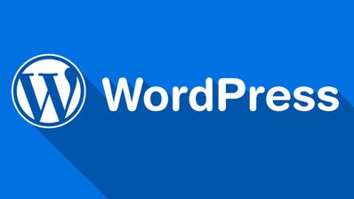Vulnerabilidad en WordPress afecta a millones de sitios web