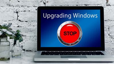 Carpeta vacía inetpub en Windows 11