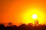 Sol intenso en un cielo despejado de color naranja sobre la silueta de unos árboles.