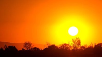 Sol intenso en un cielo despejado de color naranja sobre la silueta de unos árboles.