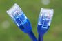 Primer plano de dos conectores RJ45 de cables ethernet azules con fondo verde desenfocado.