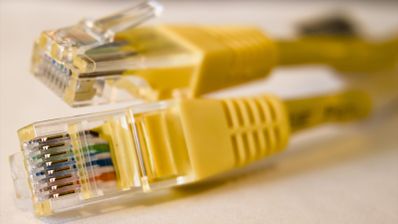Dos conectores RJ45 de cables Ethernet amarillos vistos de cerca.