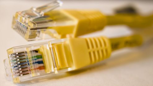 Dos conectores RJ45 de cables Ethernet amarillos vistos de cerca.