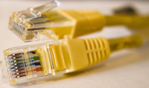 Dos conectores RJ45 de cables Ethernet amarillos vistos de cerca.