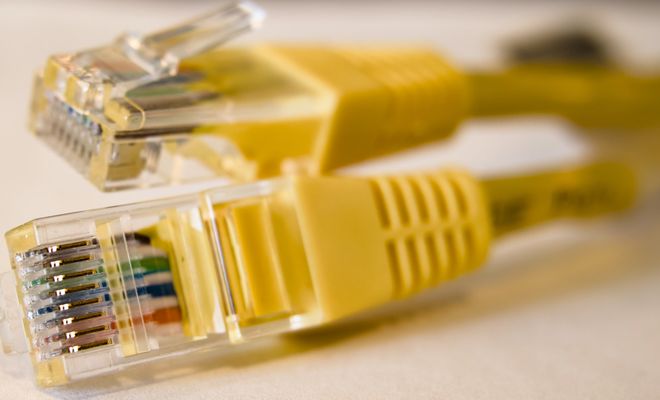 Dos conectores RJ45 de cables Ethernet amarillos vistos de cerca.