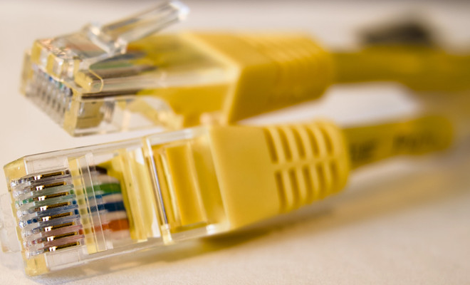 Dos conectores RJ45 de cables Ethernet amarillos vistos de cerca.